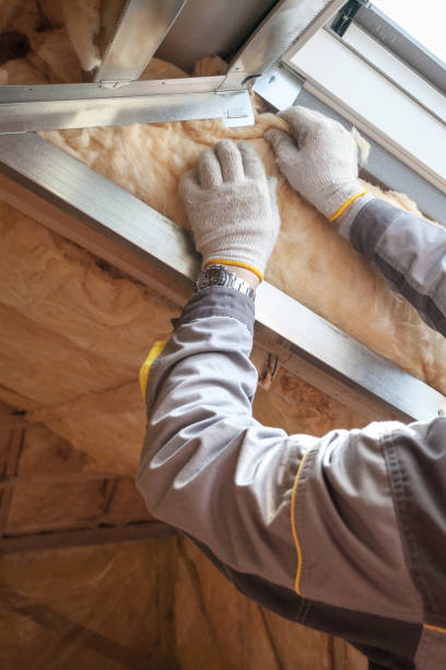 Insulation Inspection Services in Cedar Hill, MO