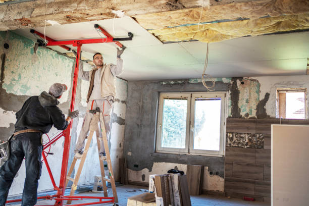 Best Insulation Inspection Services  in Cedar Hill, MO