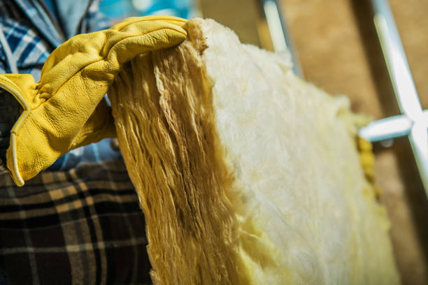 Best Insulation Removal  in Cedar Hill, MO