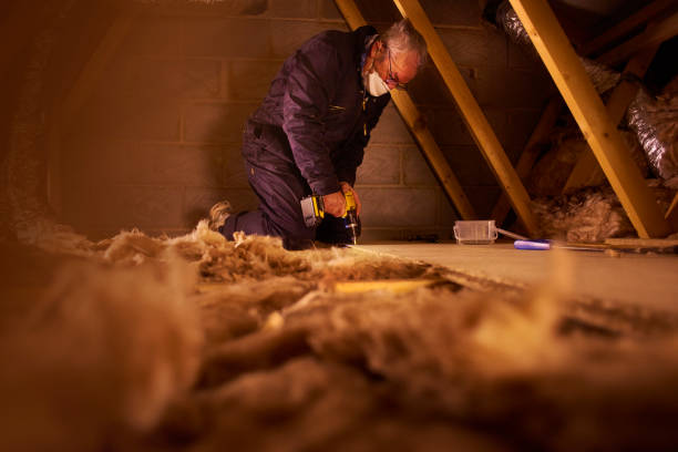 Best Blown-in Insulation  in Cedar Hill, MO
