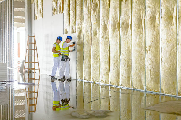Insulation Contractors for Homes in Cedar Hill, MO